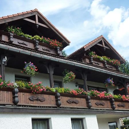 Pension Pretty Harrachov Bagian luar foto