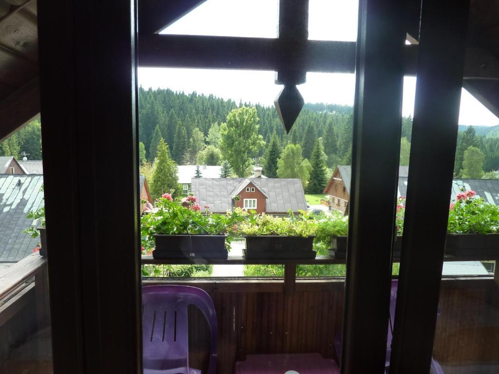 Pension Pretty Harrachov Bagian luar foto